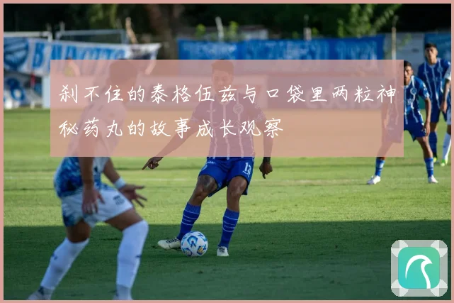 刹不住的泰格伍兹与口袋里两粒神秘药丸的故事成长观察