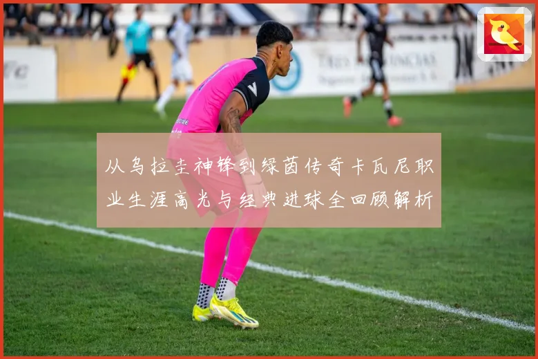 从乌拉圭神锋到绿茵传奇卡瓦尼职业生涯高光与经典进球全回顾解析