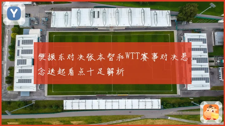 樊振东对决张本智和WTT赛事对决悬念迭起看点十足解析