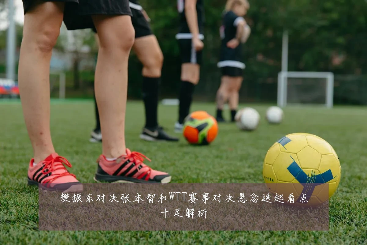 樊振东对决张本智和WTT赛事对决悬念迭起看点十足解析