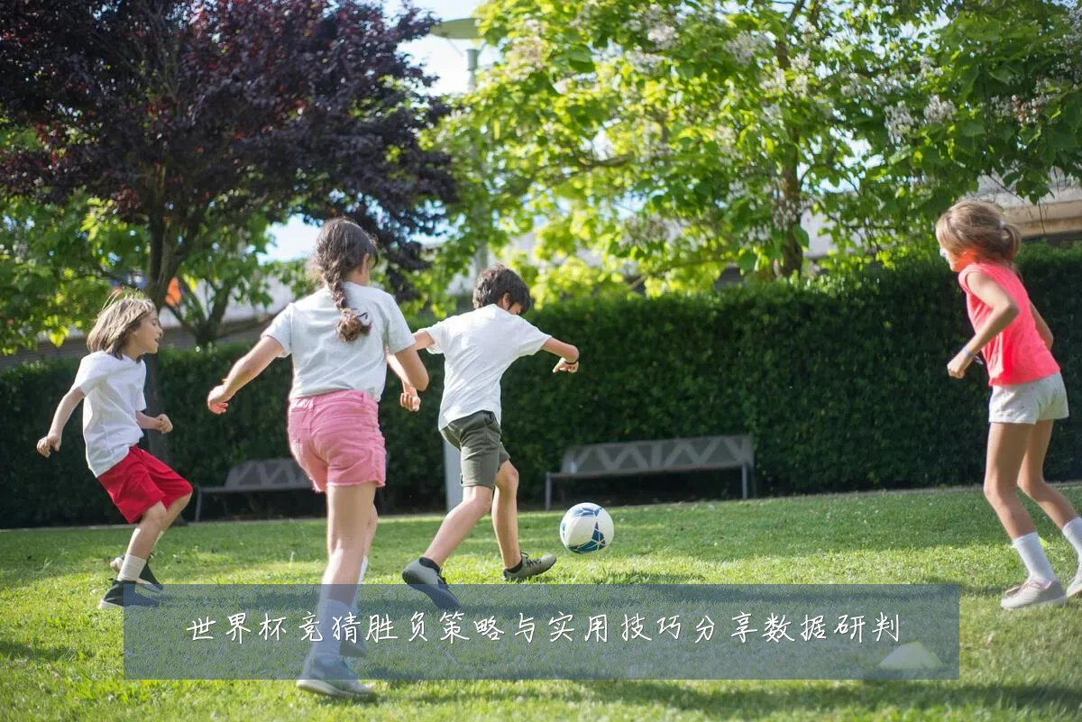 世界杯竞猜胜负策略与实用技巧分享数据研判