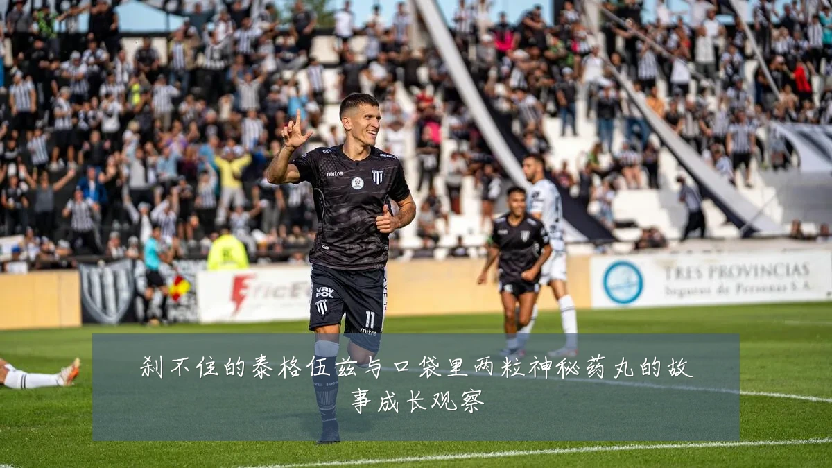 刹不住的泰格伍兹与口袋里两粒神秘药丸的故事成长观察
