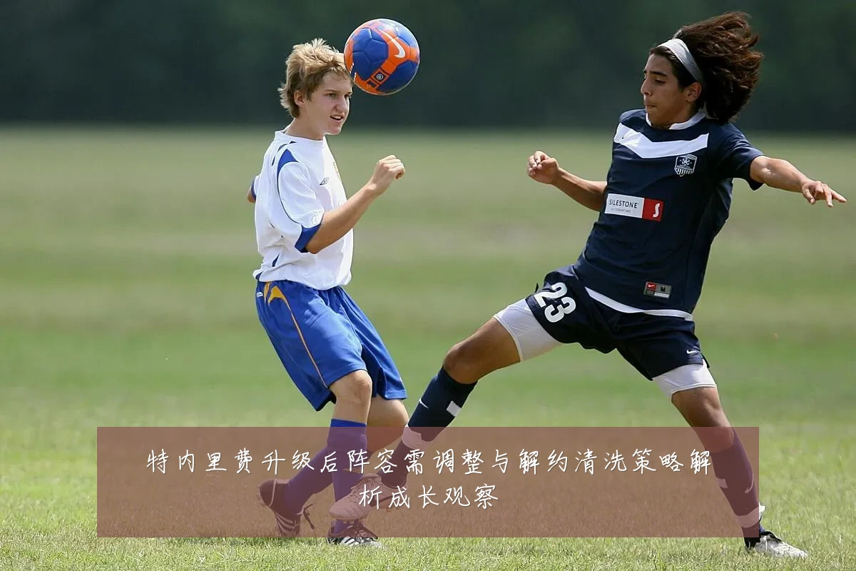 特内里费升级后阵容需调整与解约清洗策略解析成长观察